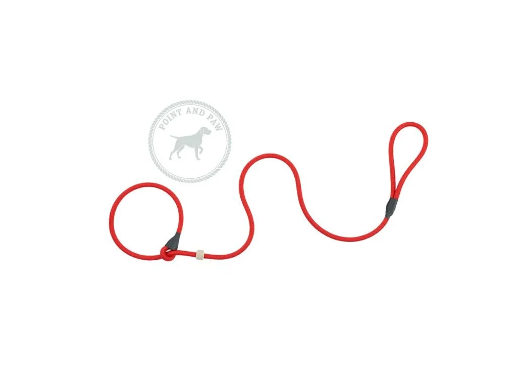 Red Lead.jpg