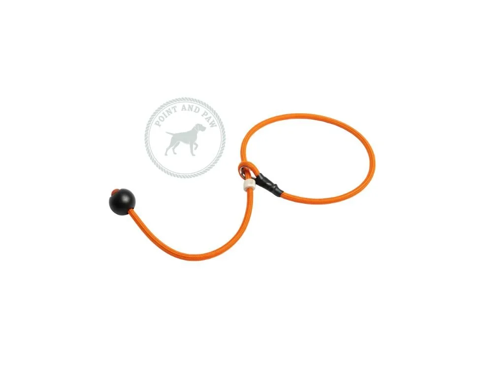 Heeling Collar 6mm 65cm