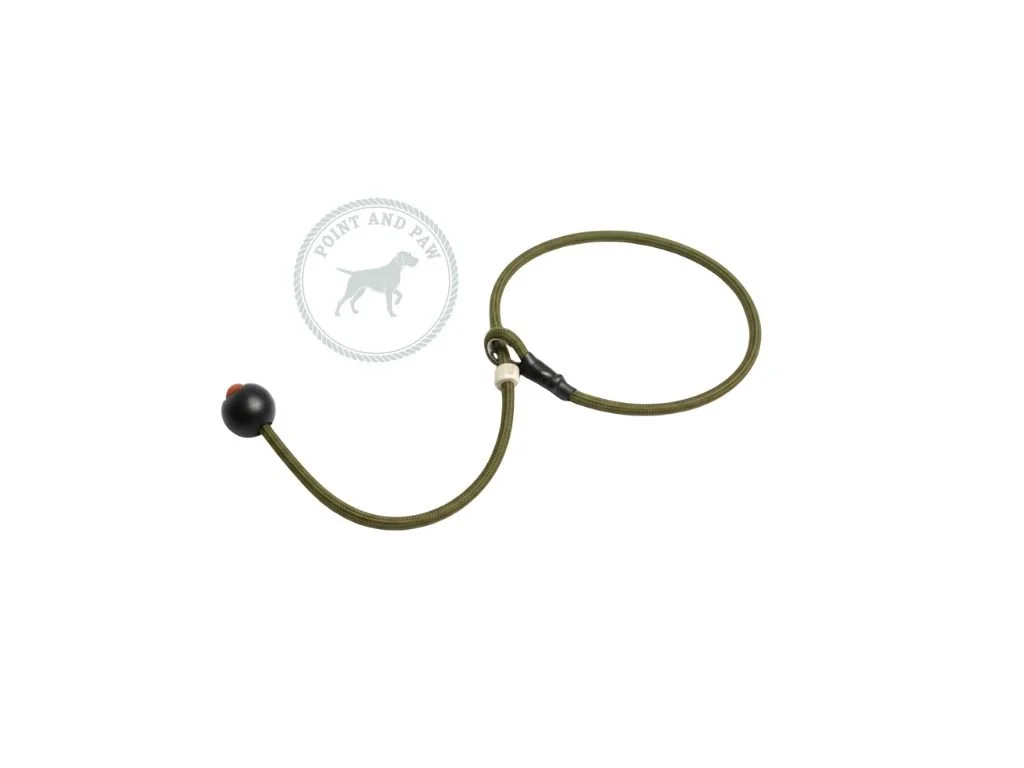 Heeling Collar 6mm 65cm