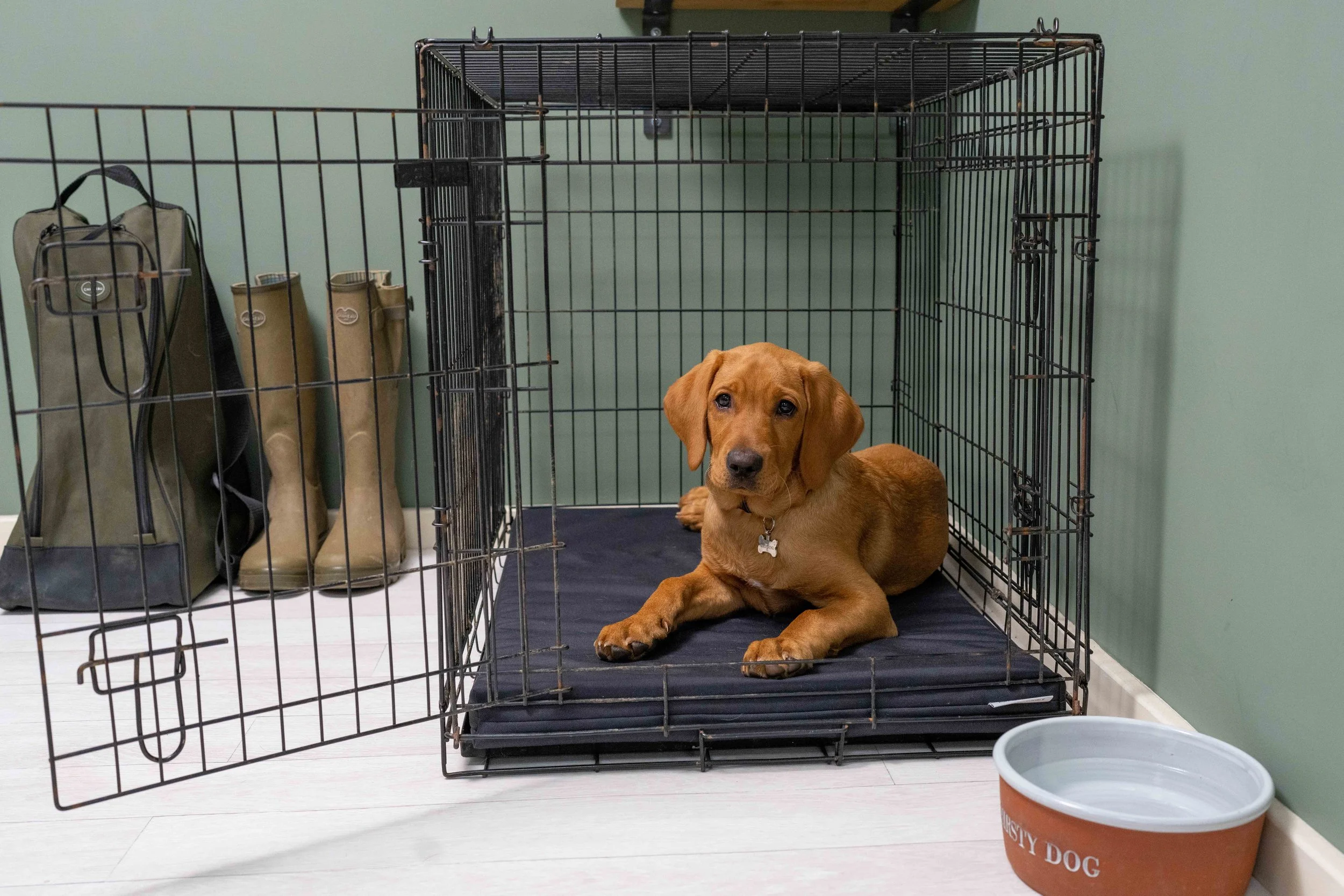 Ruff & Tumble Boot / Crate Mat