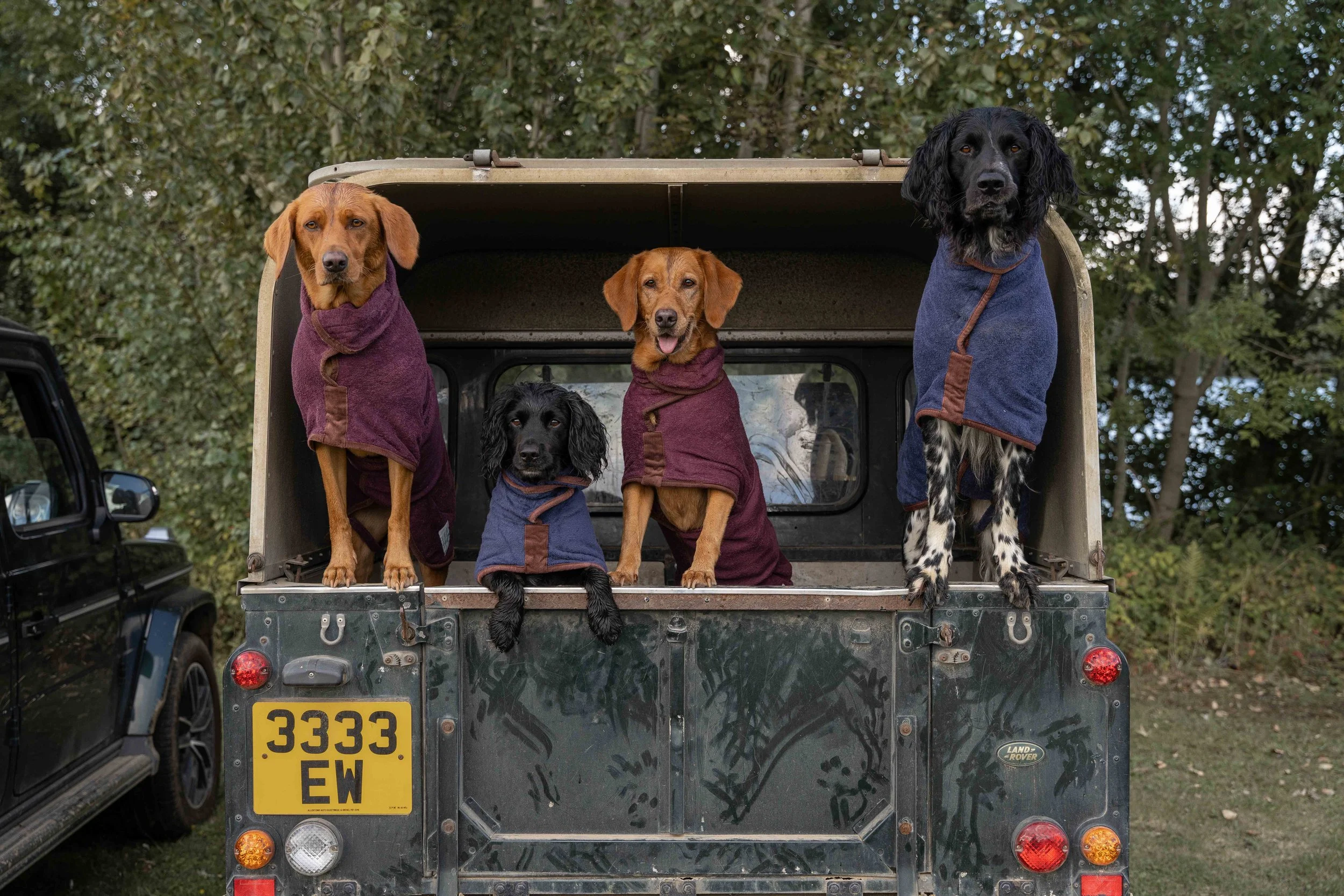 Country Dog Drying Coat