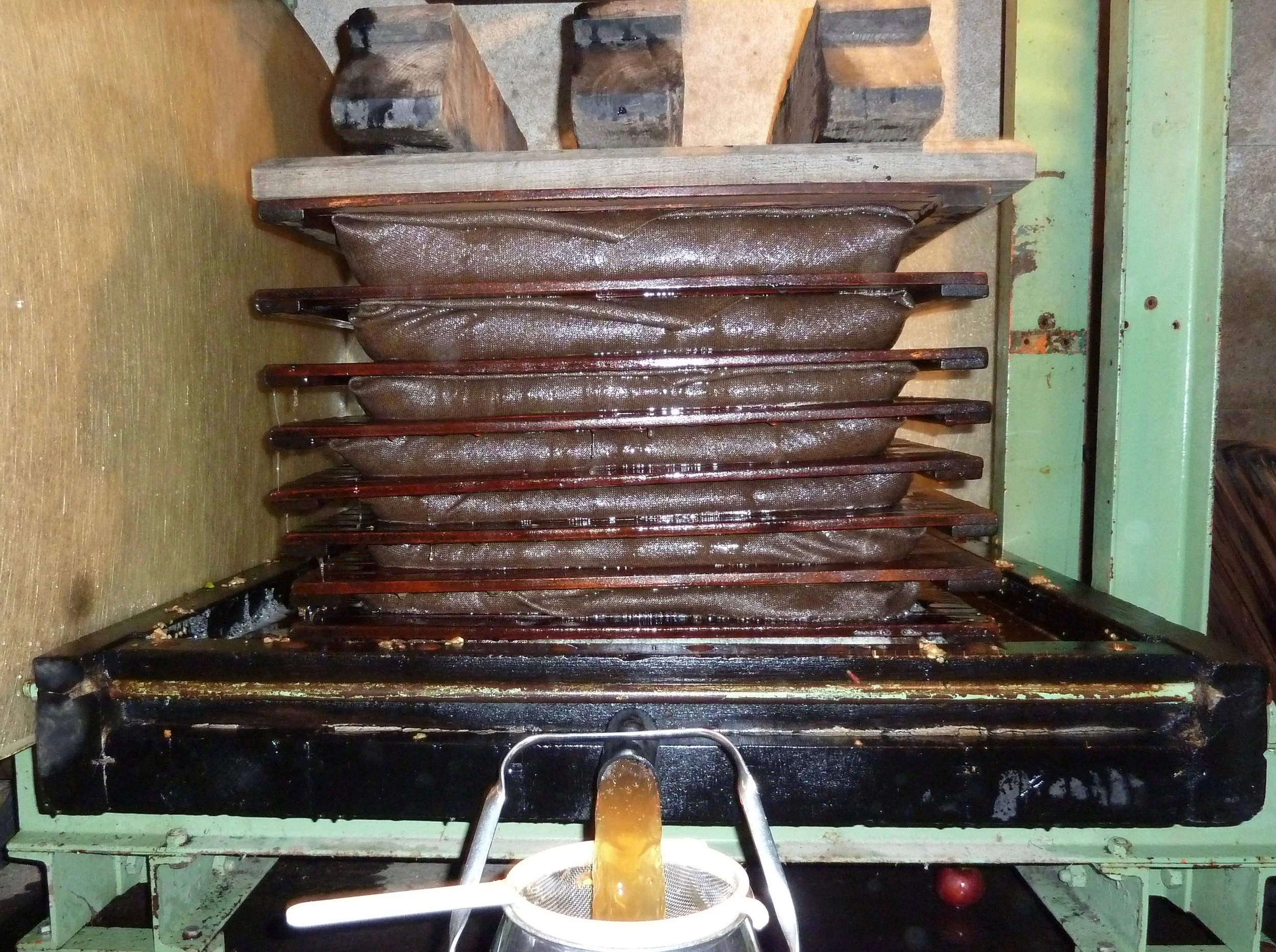 Jetzt wird gepresst. Die Presstücher sieben den Saft schon vorab. Sämtlicher Saft läuft in einen Chromstahlkessel mit Sieb. Reine Handarbeit.