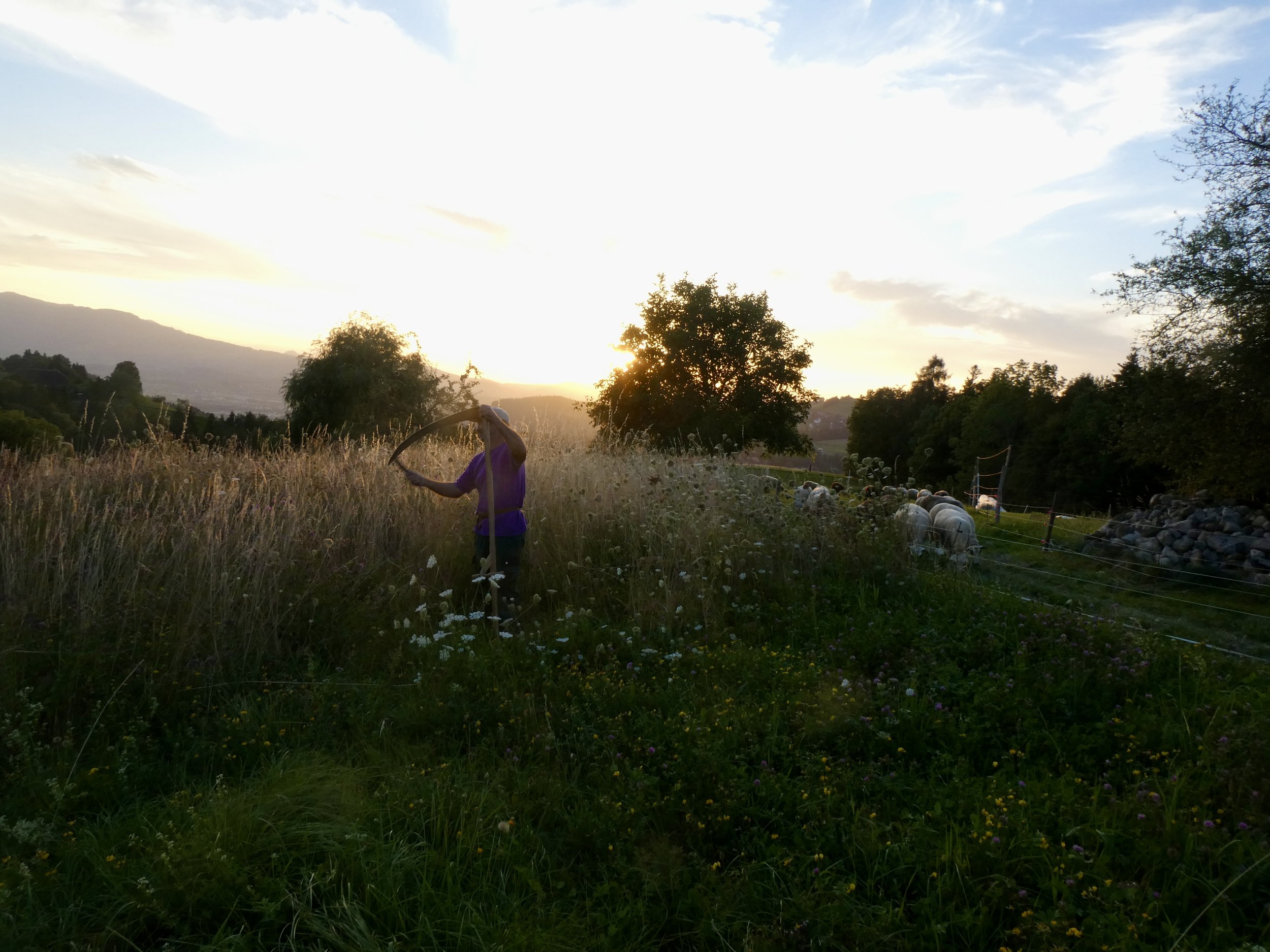 Trägt Sorge zur euer Umwelt!