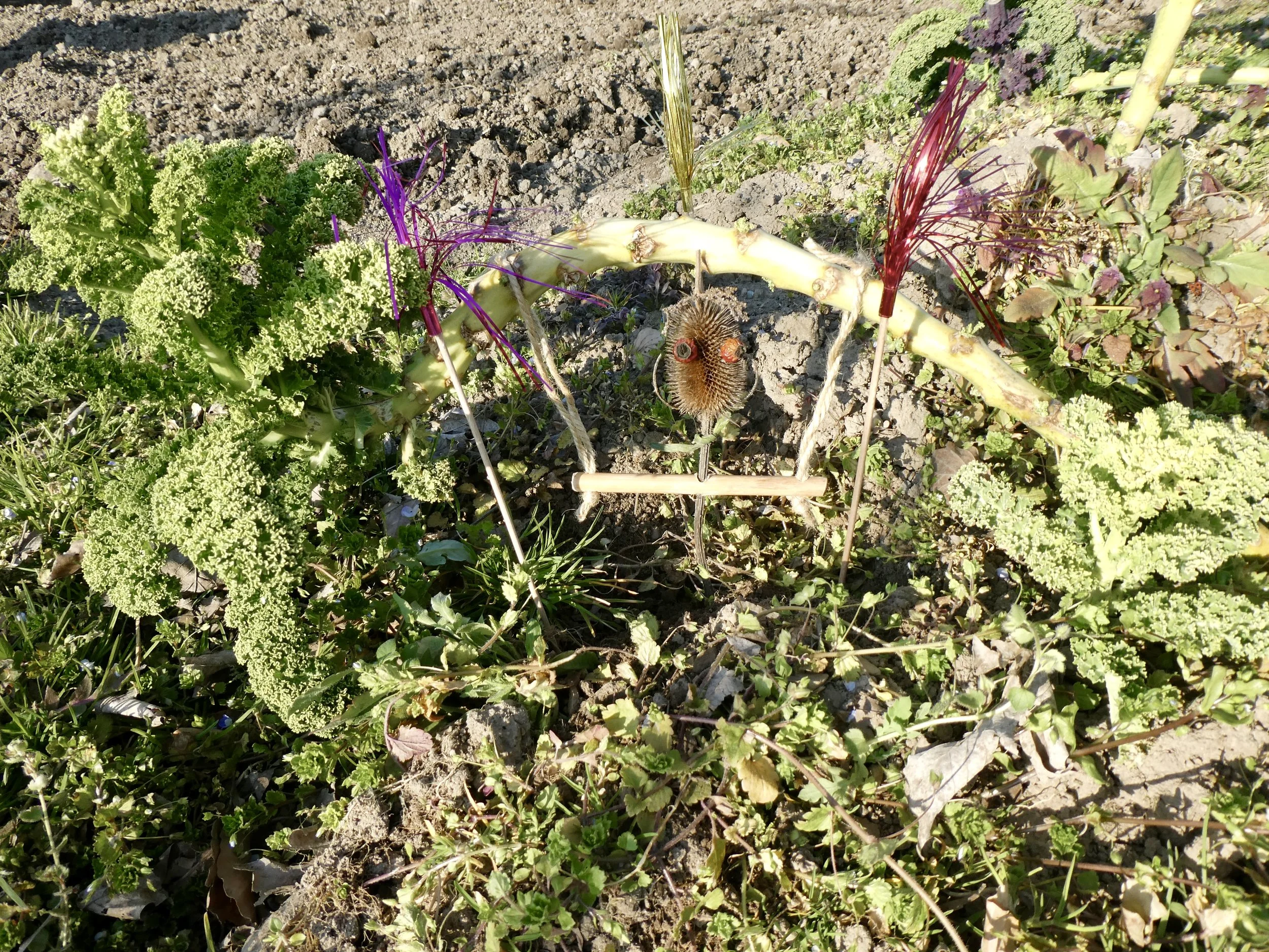 April 2020; Da lernte ich "Gustav" kennen.  
Unser Gartenexperte.