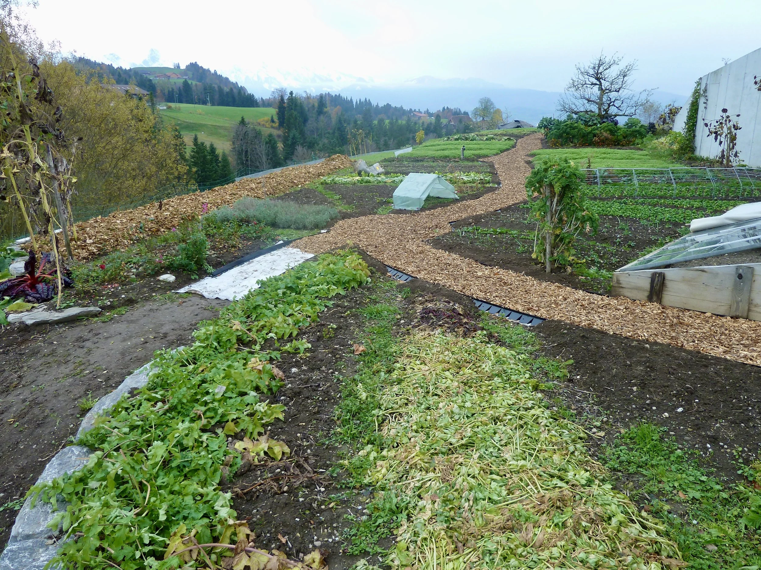 Gartenweg mit zwei runden Ausweichplätzen