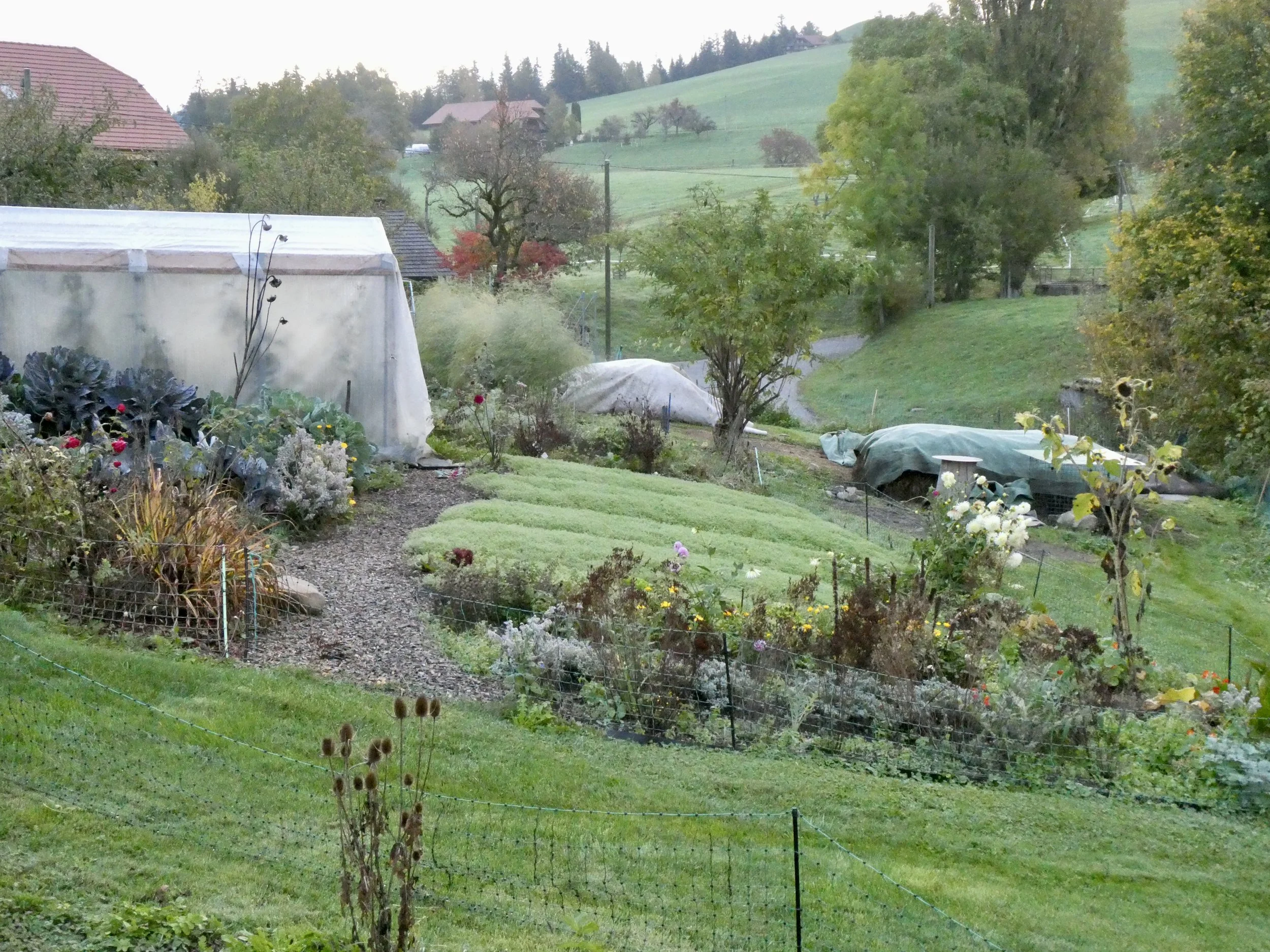 Oktober 2019:
Einwintern  durch einsäen von Gründüngung und im Hintergrund der Kompostplatz.
