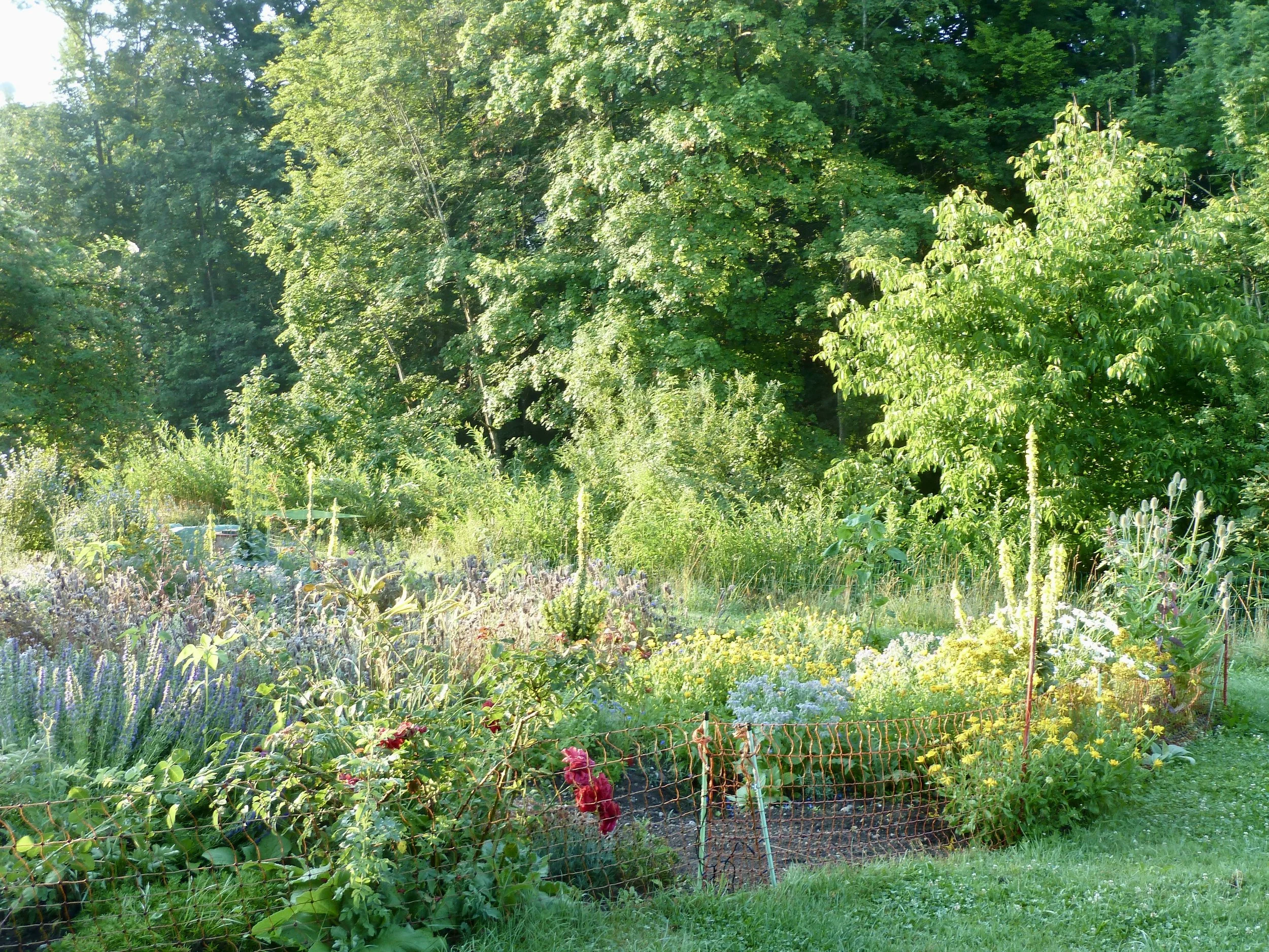 Blumen und Kräuter; 
