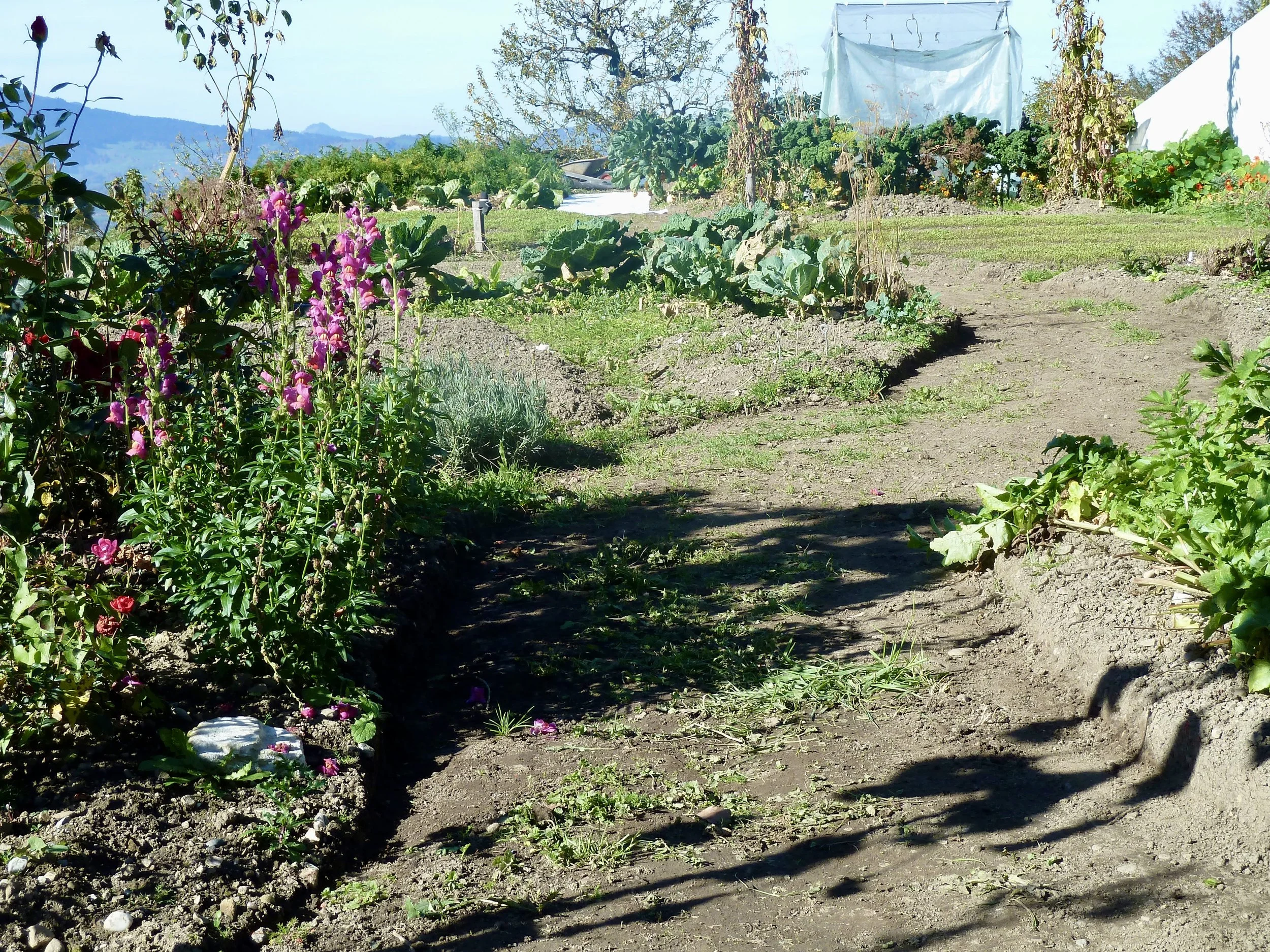 Gartenwegbau; Im Hintergrund zu erkennen. Das Geovlies trennt Untergrund vom Belag