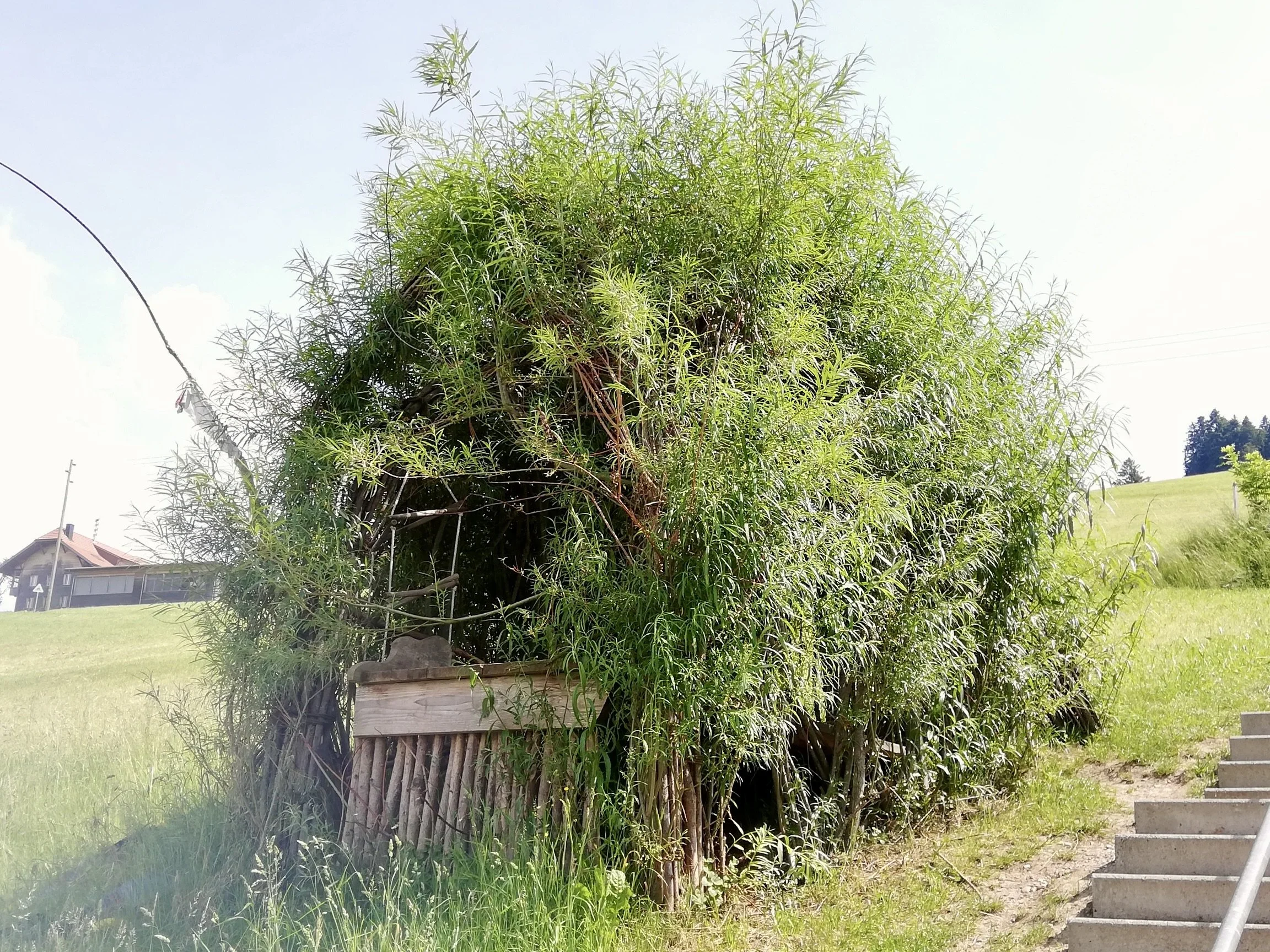 Feuerstein-Haus; Ein Schulprojekt der Basisstufe Homberg