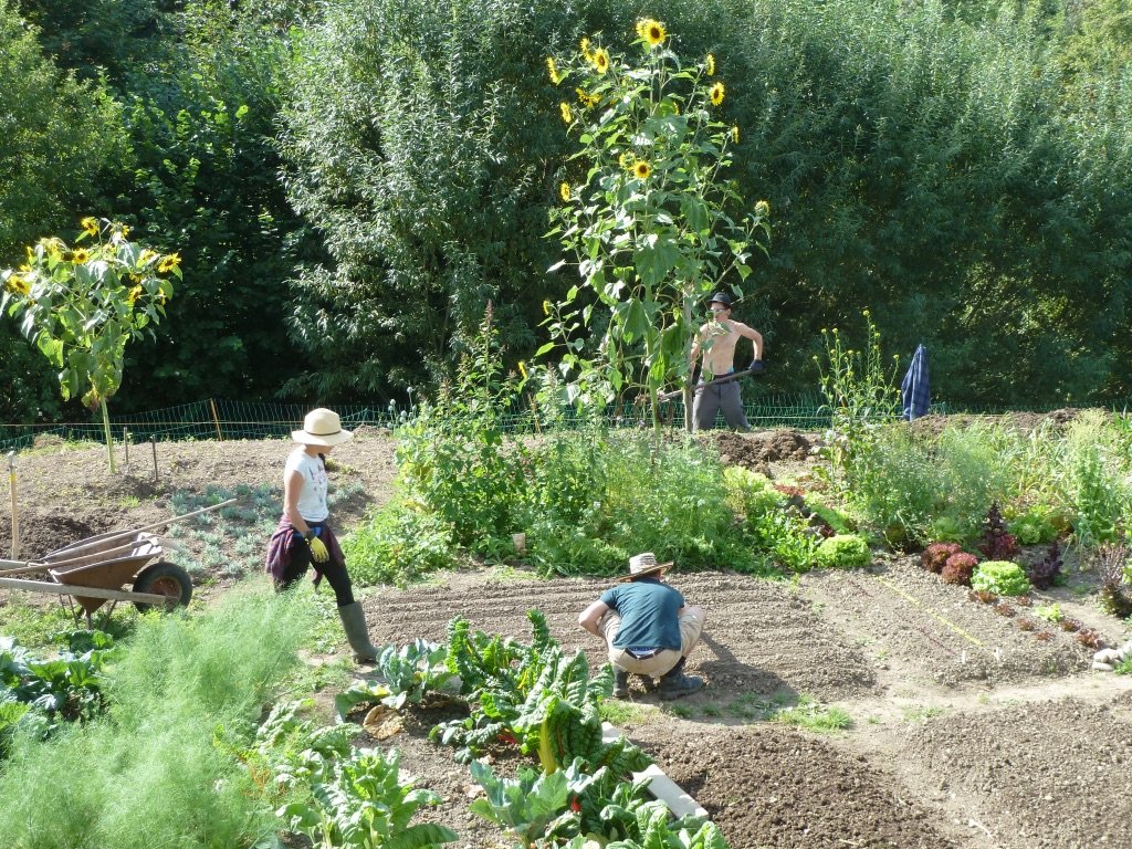 Feriengäste (WWOOF) helfen tatkräftig mit