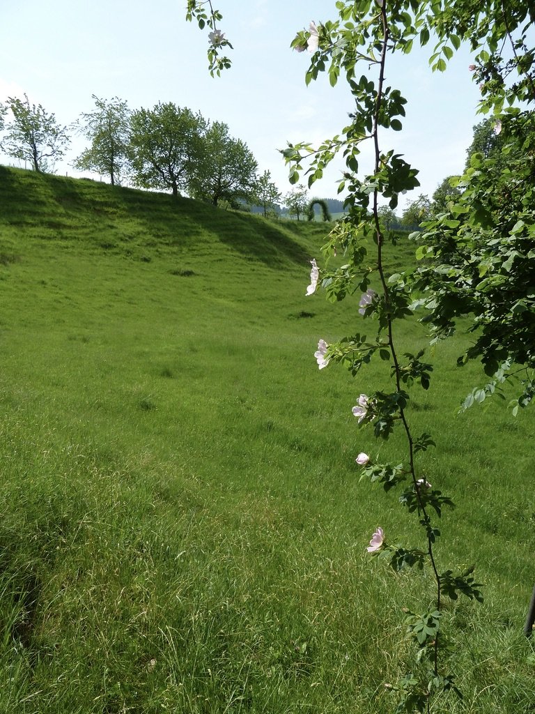 Blick zum Tor von der Weide aus