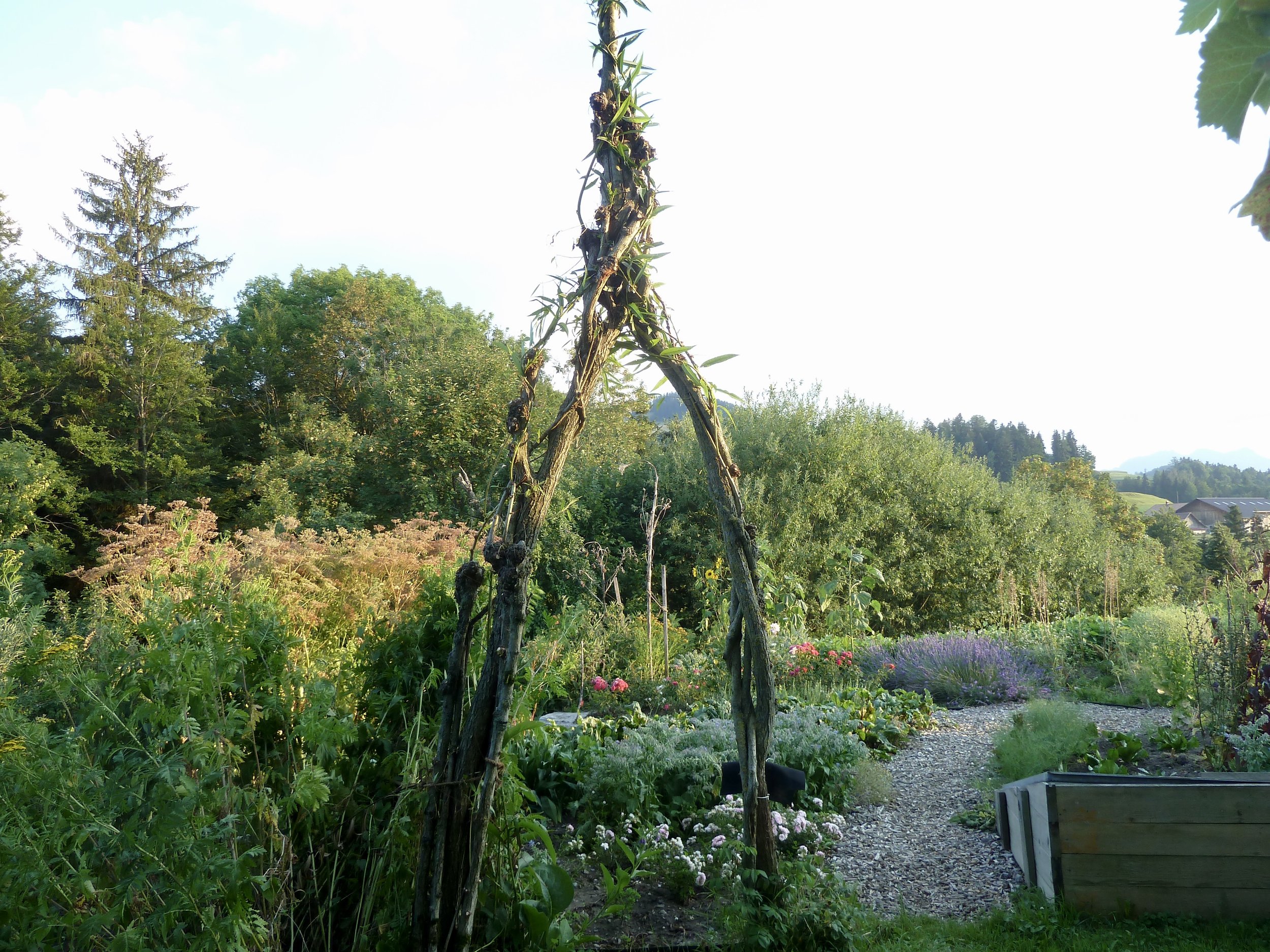 August 2018 Das andere Gartentor; 
Erinnerung an den alten Garten