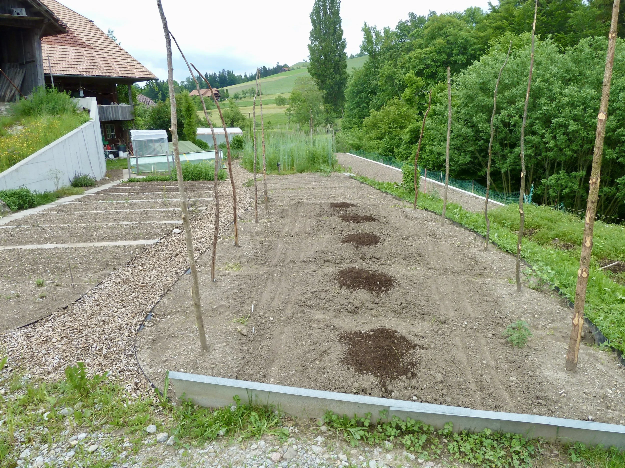 Mai 2018; Auf der rechten Seite des Hauptweges bleiben unbefestigte Naturwege