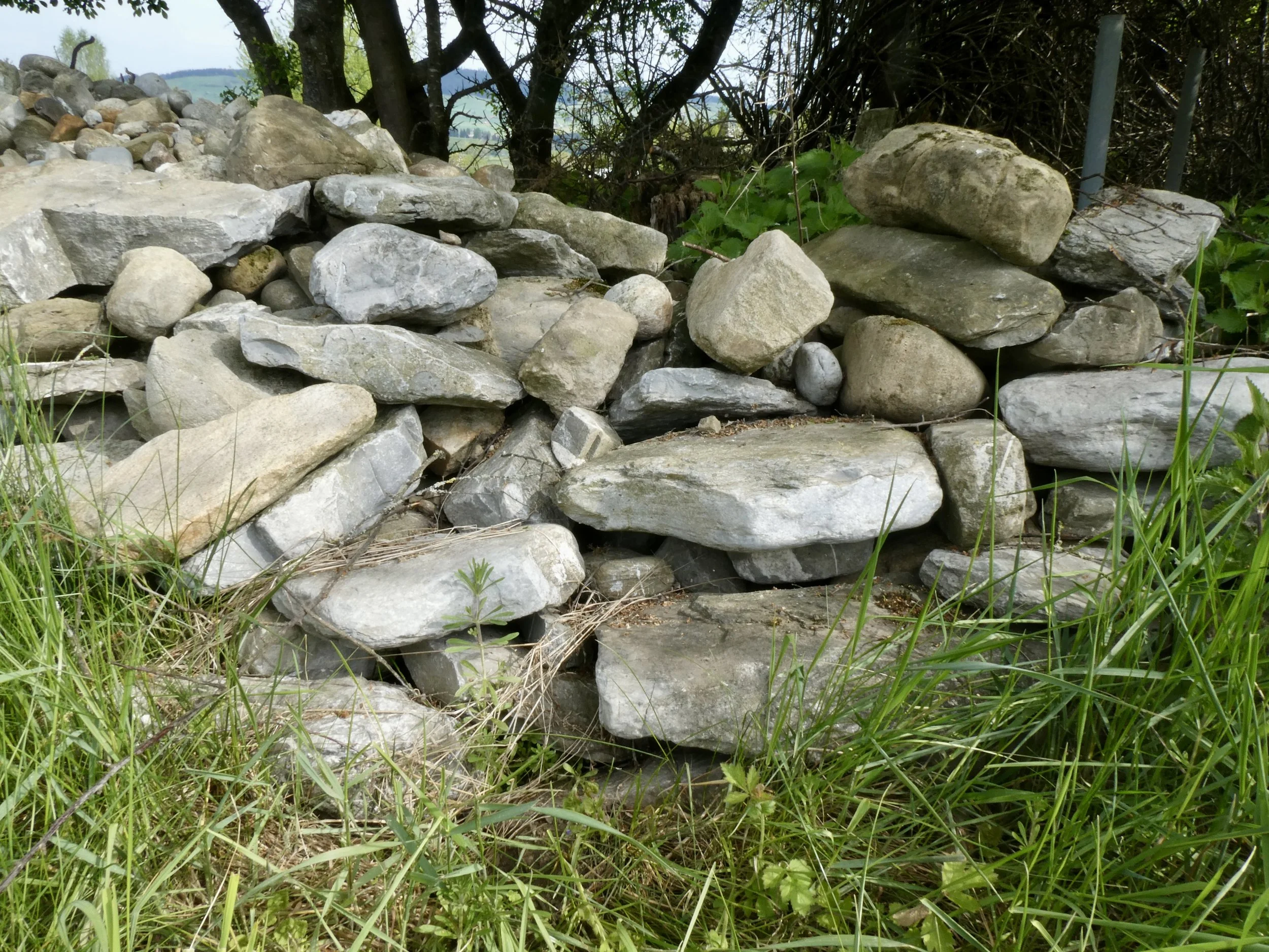 Steinhaufen am Ende einer Wildhecke gegen Süden ausgerichtet
