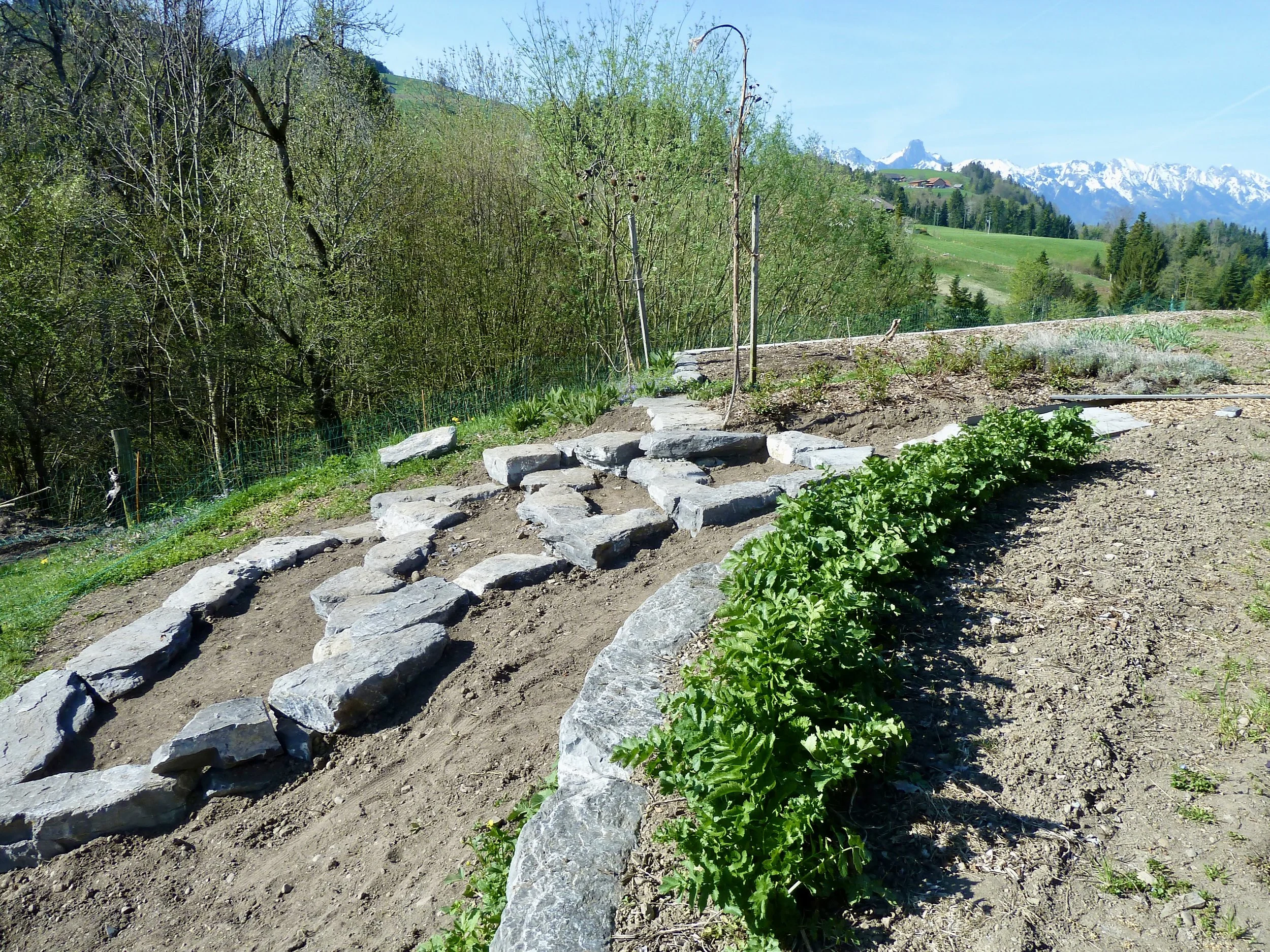 April 2018: Im Bau; Gartentreppe aus Kalkstein 