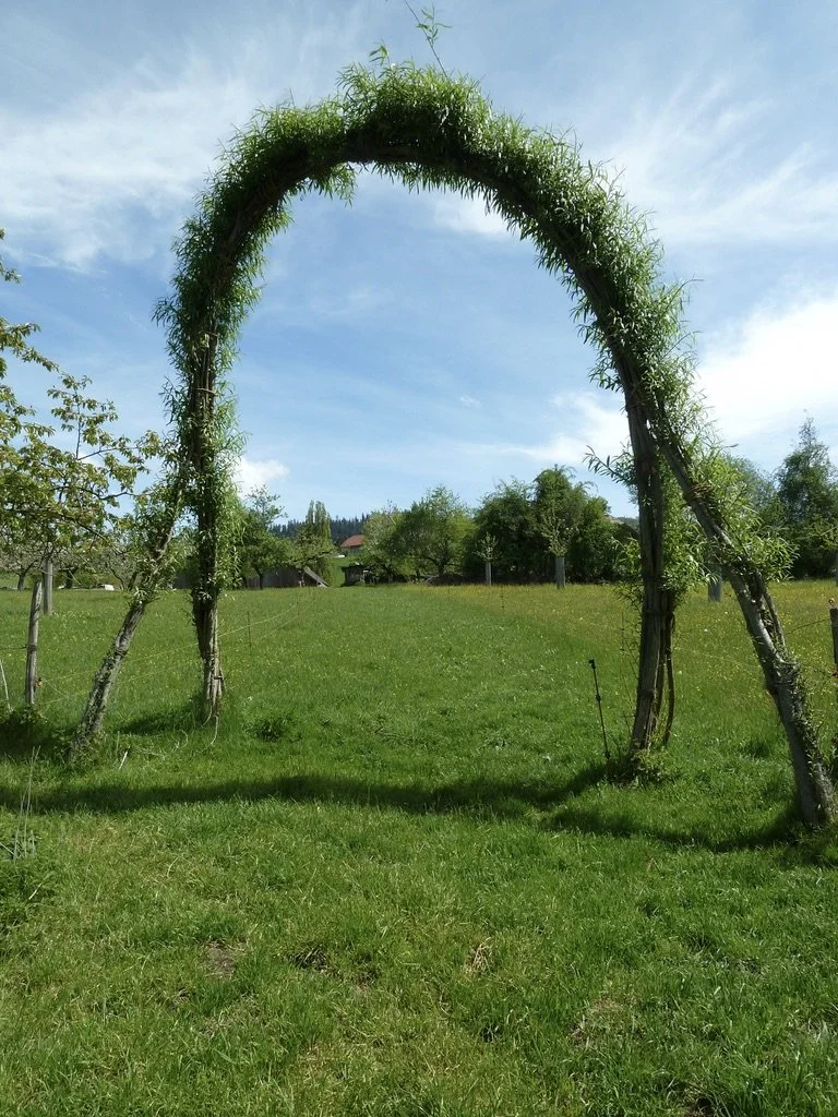 Tor als Weideeingang