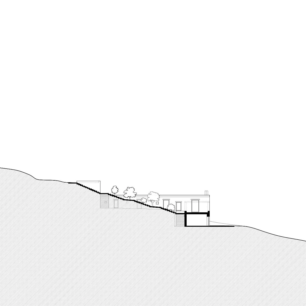 Napos_Office_Muto_Pavlidis_Section_small.jpg