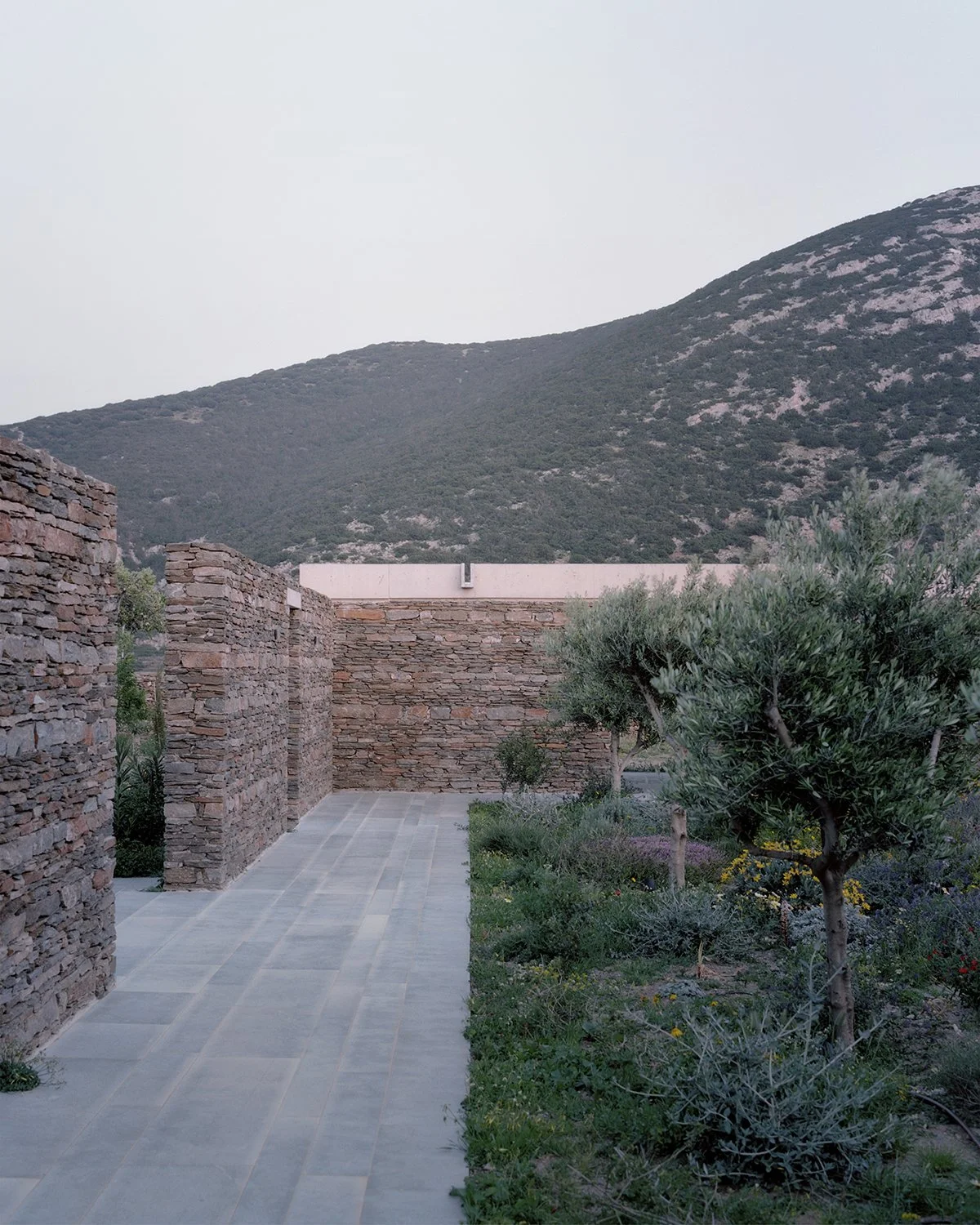 4002-SIMONE BOSSI © 2023_ALEXANDRE+PAVLIDIS+ARCHITECT_Garden7.jpg
