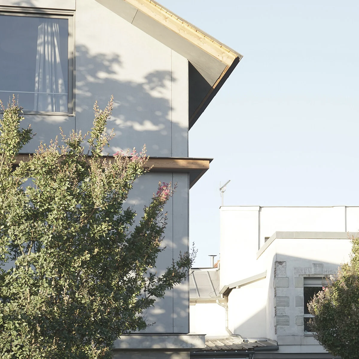 Suspended_House_OFFICE_MUTO_Pavlidis_Architect_53_small.JPG