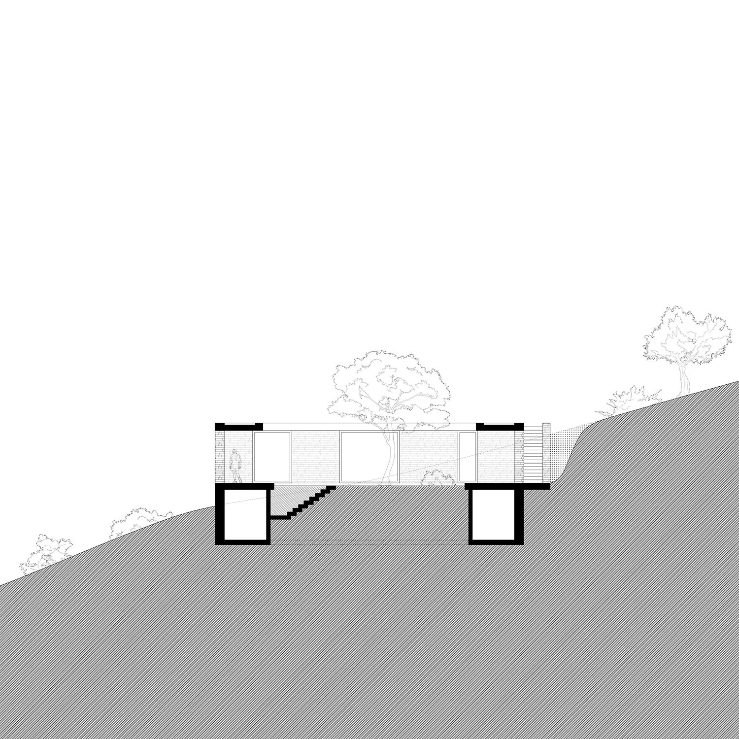 PLAN_OFFICEMUTO_Pairi-daeza_3.jpg