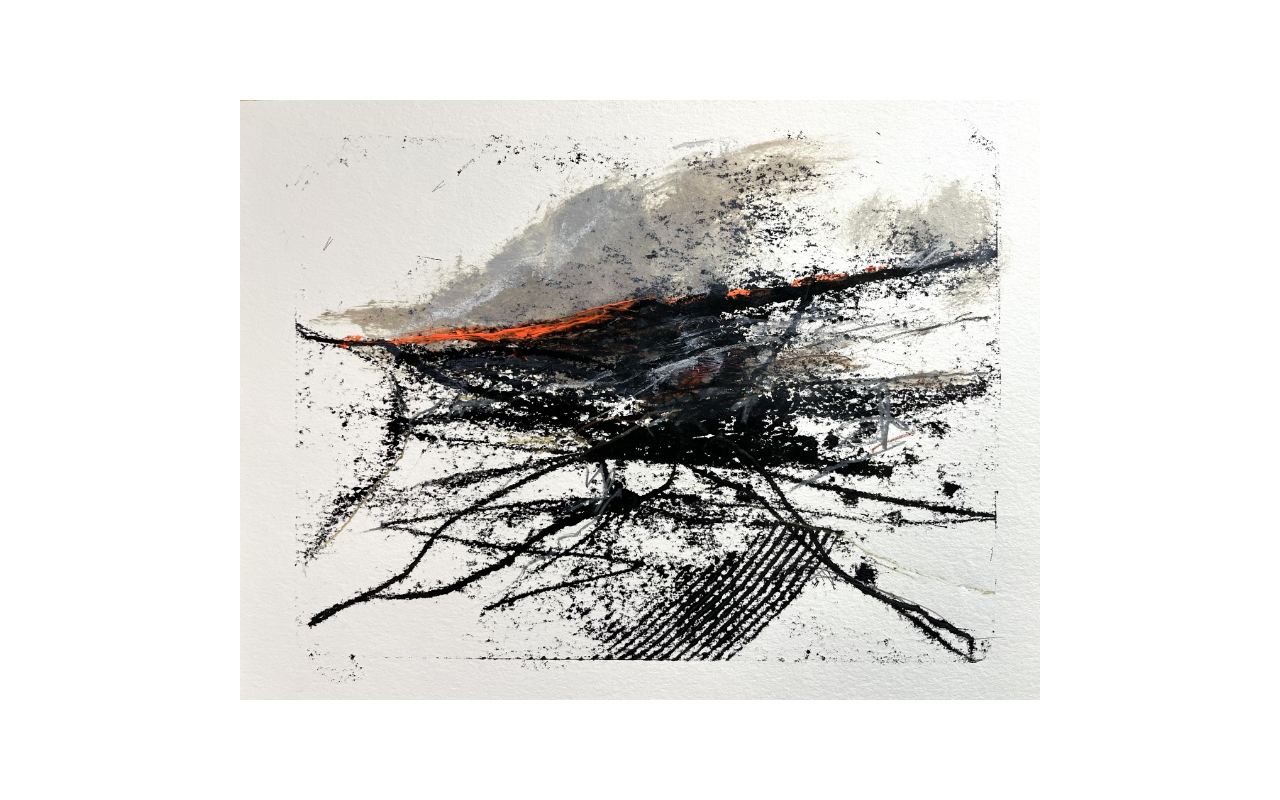 Nebraska V
/ 2025
/ 48 x 36 cm
/ Druckfarbe, Acryl- und Ölfarben, Bunt- und Bleistifte auf Bambuspapier
/ Printing ink, acrylic and oil paints, crayons and pencil on bamboo paper