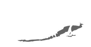 Everingham Park
