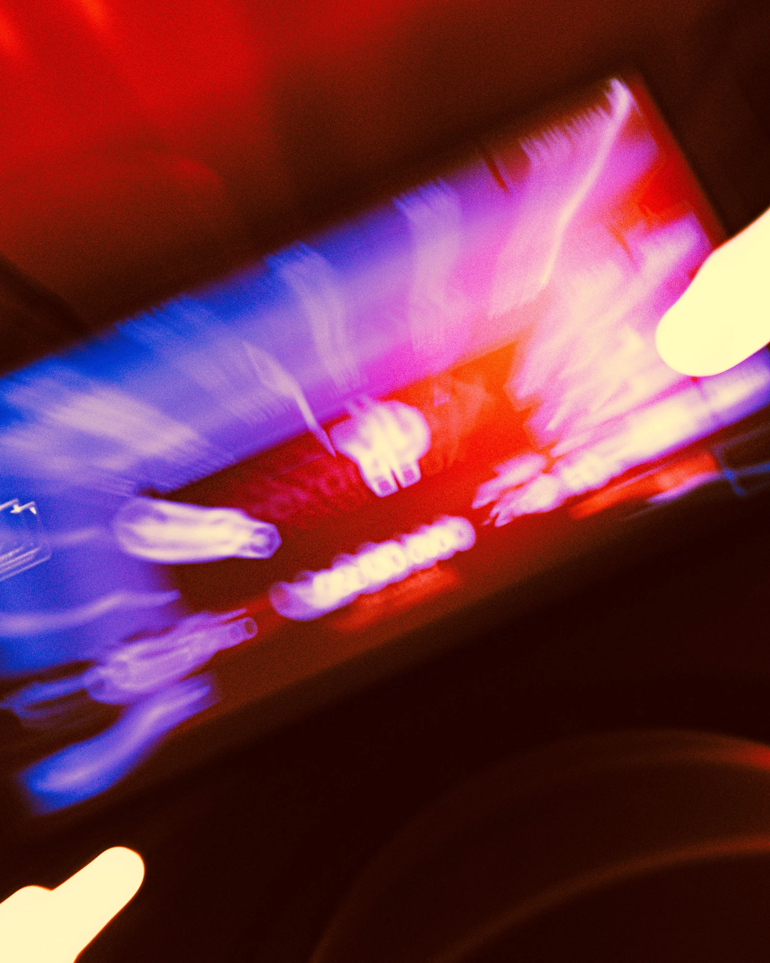 Wed 6 Febbraio_Frank-6.jpg