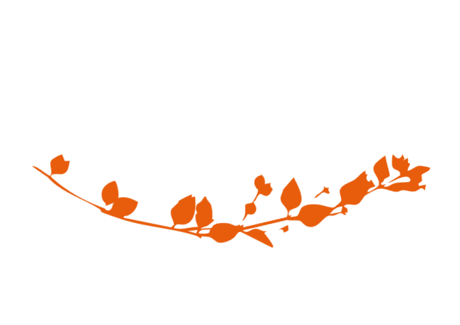 Une branche d'arbre avec des feuilles orange contrastée sur un fond noir.