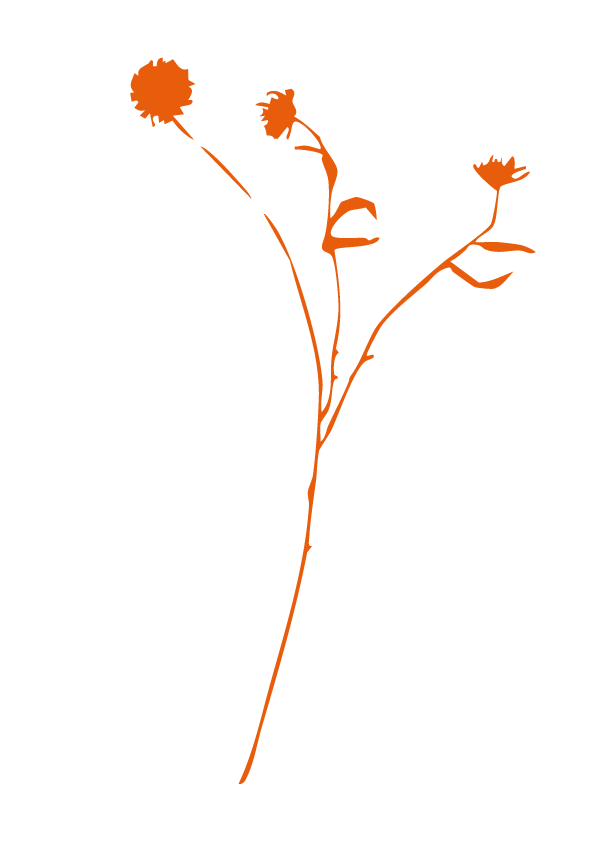 Silhouette d'une fleur stylisée en orange sur fond noir.