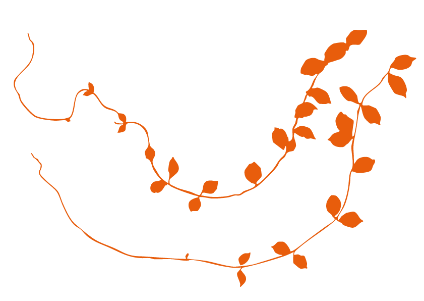 Deux branches de plante avec des feuilles orange sur fond noir.