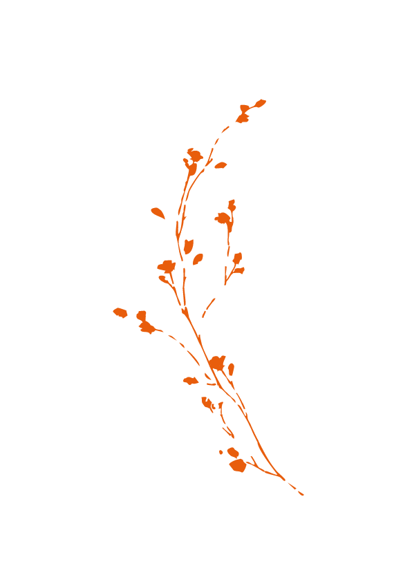 Une illustration simple d'une branche florale brune avec des petites feuilles et des fleurs