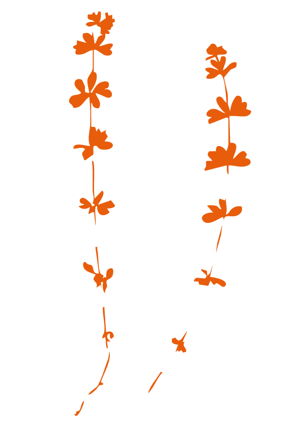 Deux dessins de plantes ou de branches avec des feuilles ou des fleurs orange sur un fond noir.