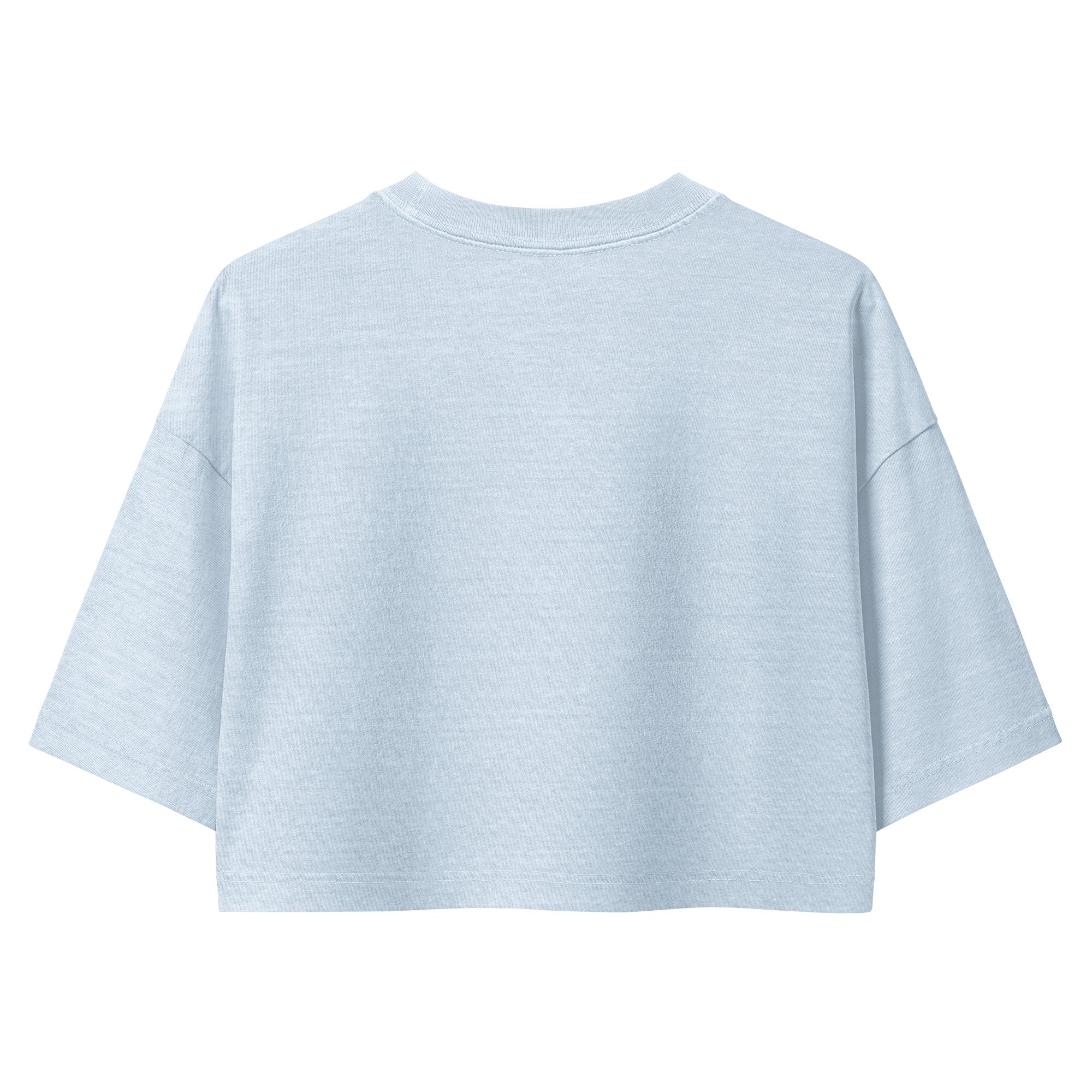 Cinnamon Bun Maxxing Crop Top