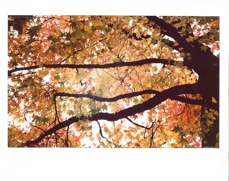 I no longer chase flawlessness.
Light leaks, blur, scratches &mdash; they speak truth.
In imperfection lies the human.
────── ⬜ ──────
#SlowPhotography
@mintcamera #instantkonrf70 #instantcamera #instantfilm #instaxwide #lausanne #myswitzerland #autu