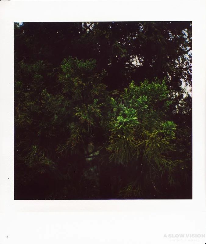 Instax_Square_Hasselblad__0014.jpg