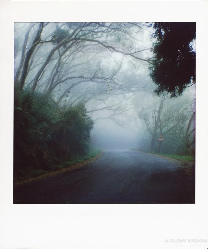 Instax_Square_Hasselblad__0010.jpg