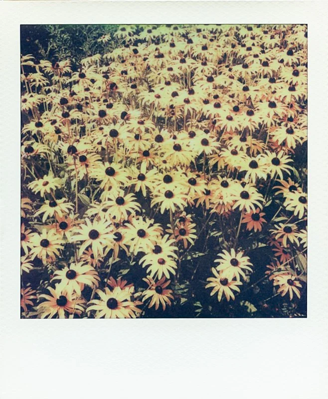 Polaroid_i-2_0003.jpg