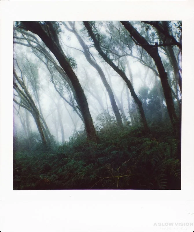 Instax_Square_Hasselblad__0012.jpg