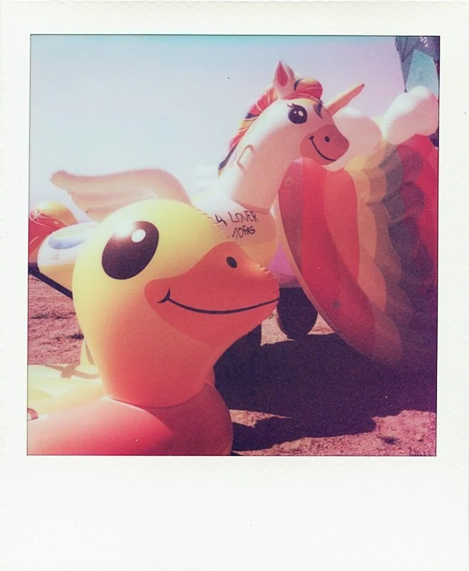 Polaroid_i-2_0008.jpg