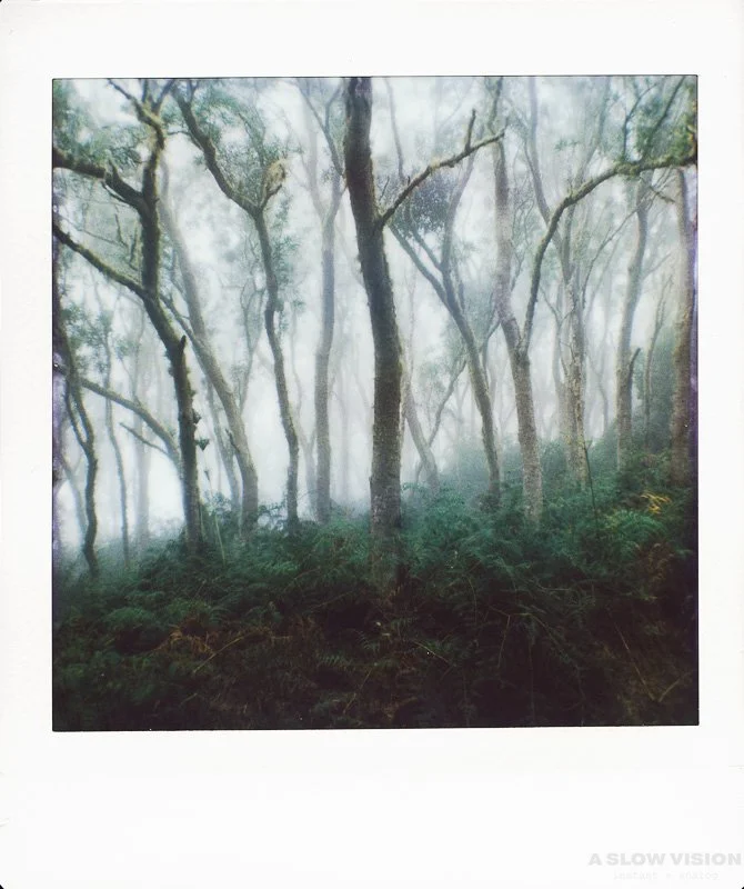 Instax_Square_Hasselblad__0009.jpg