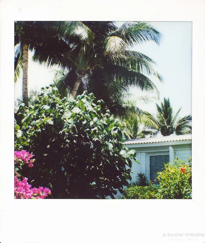 Instax_Square_Hasselblad__0007.jpg