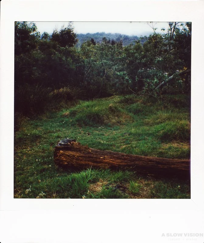 Instax_Square_Hasselblad__0016.jpg