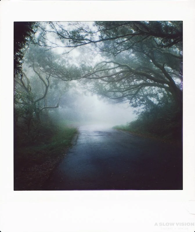 Instax_Square_Hasselblad__0011.jpg