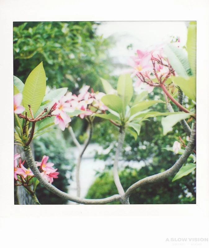 Instax_Square_Hasselblad__0001.jpg