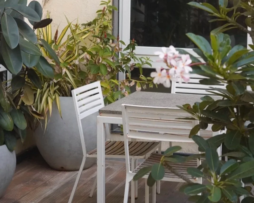 Restaurant Consulting