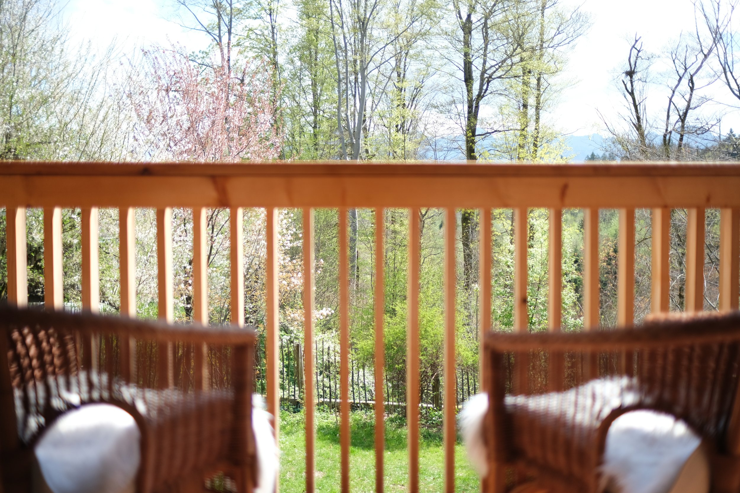 DSCF1071.JPG