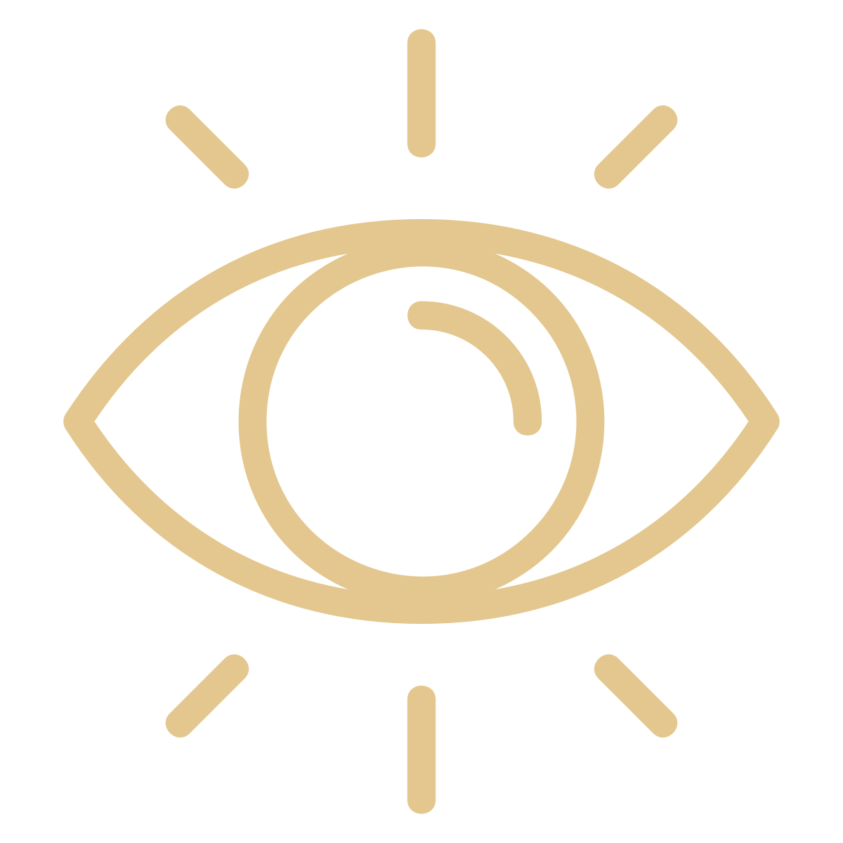 An icon of an eye with a clock inside it, surrounded by lines indicating focus or observation.