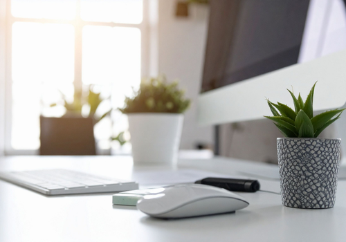 Workspace with a computer keyboard, mouse, and small potted plant on a white desk near a bright window.