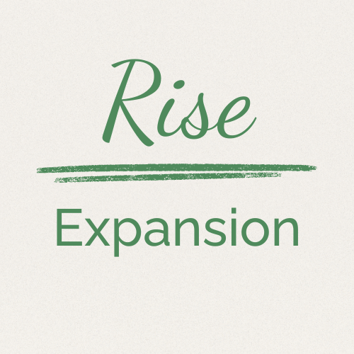 Root & Rise Consulting, a business consulting for women in healthcare root foundations program