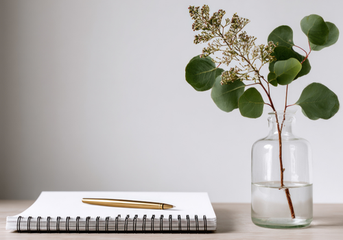 Workspace with notebook, gold pen, and green plant - calm and minimal setting for healthcare practice planning.